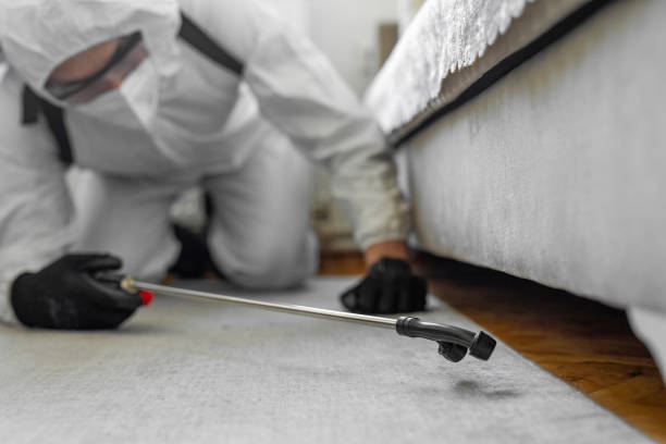 Professional Bed Bug Control technician working in Rineyville, KY